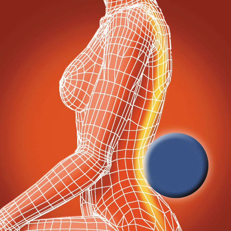 Understanding trunk and spine anatomy. VertiBaX Education