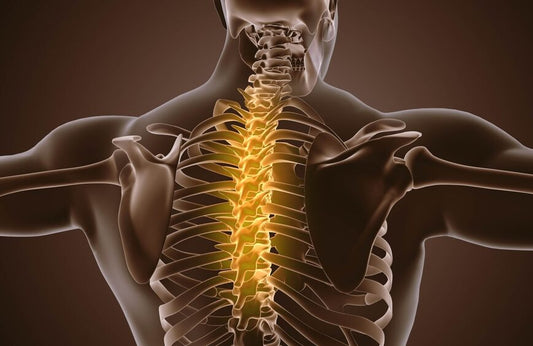What Does a Healthy Spine Look Like?