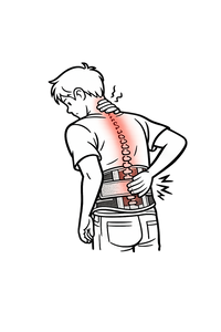 Back Support Belts